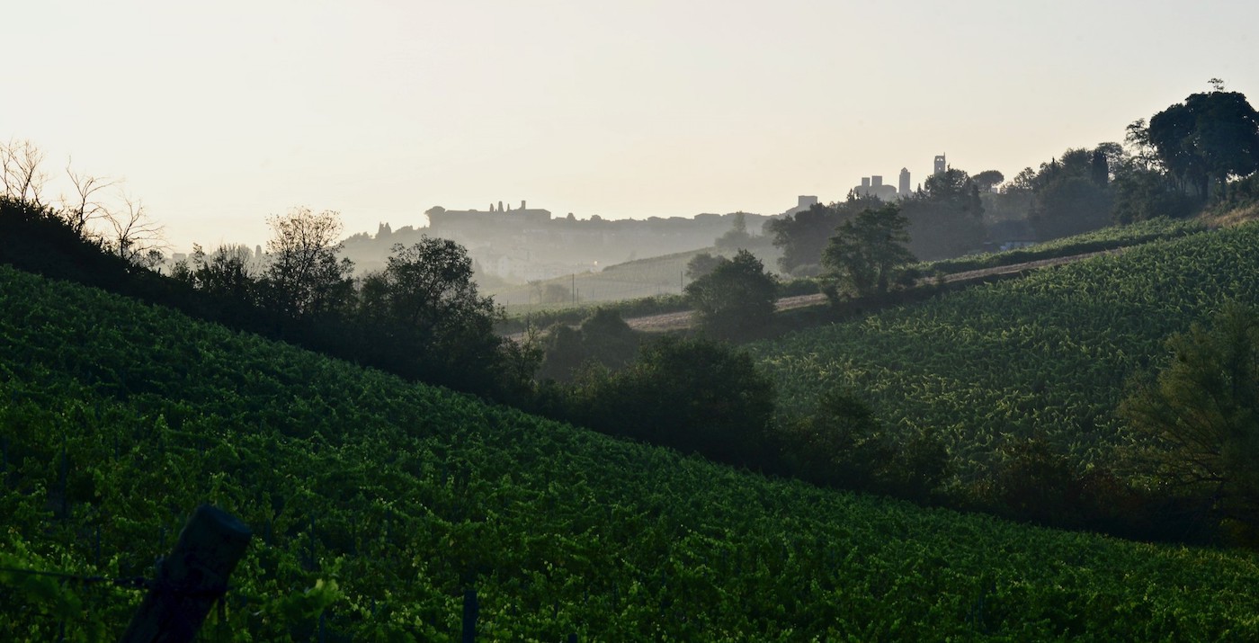 Fattoria di Fugnano